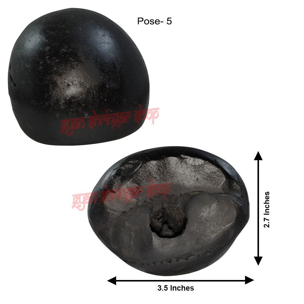 Damodar Krishna Shaligram Shila Stone from Gandaki River in Nepal Damodar Krishna Shaligram Shila Stone from Gandaki River in Nepal