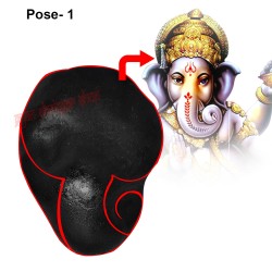 Ganesh Mukh Darshan Narayan Shaligram Shila Vighnaharta Ganesh