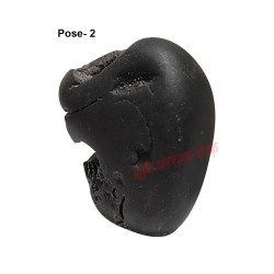 Garuda Vishnu Shaligram Stone Shila From Gandaki River in Nepal