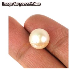 South Sea Pearl