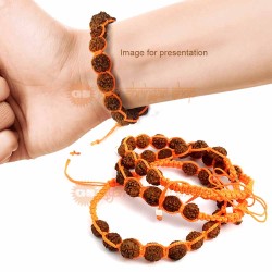 Shiv Fancy Rudraksha Bracelet - Adjustable