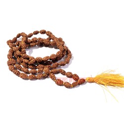 Two (2) Mukhi Java Rudraksha Mala / Shiv Shakti Power 108+1 Beads / Rudraksha Mala 