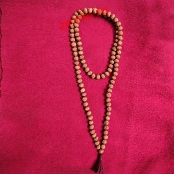 Ten Mukhi (10 Face) Krishna Rudraksha Mala from Java / Jaap Mala 