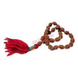 2 Mukhi Java Rudraksha Jaap Mala - 24+1 Beads / Rudraksh Jaap Mala