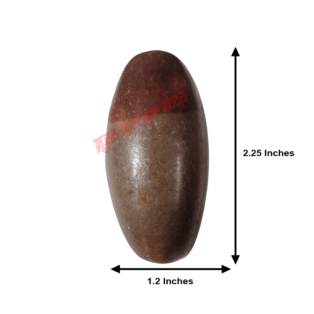Original Narmadeshwar Shivling / Narmada Shivlingam Original Narmadeshwar Shivling / Narmada Shivlingam