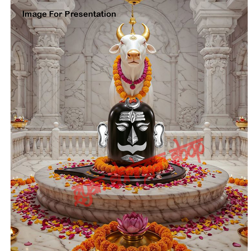 Mahakal Shiv Shankar Face Decoration Set - Pure Copper with Silver Covering